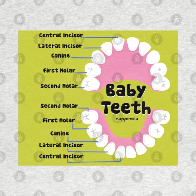 Baby Teeth names illustration - for Dentists, Hygienists, Dental Assistants, Dental Students and anyone who loves teeth by Happimola by Happimola